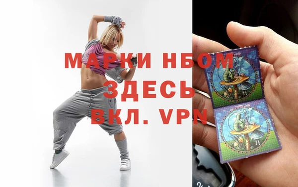 гашик Краснослободск