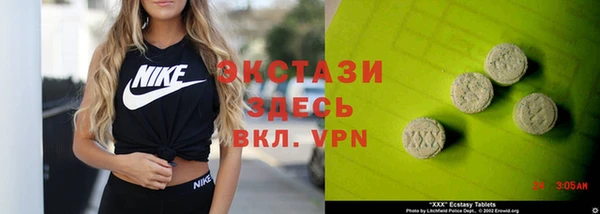 гашик Краснослободск