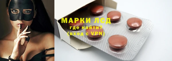 гашик Краснослободск