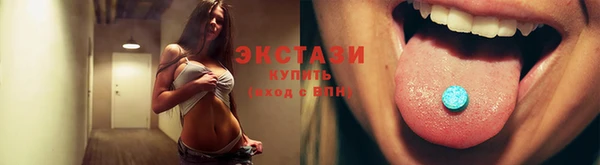гашик Краснослободск