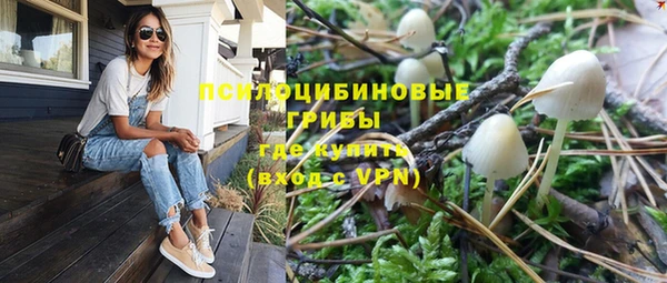 гашик Краснослободск