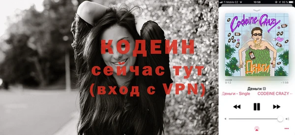 гашик Краснослободск