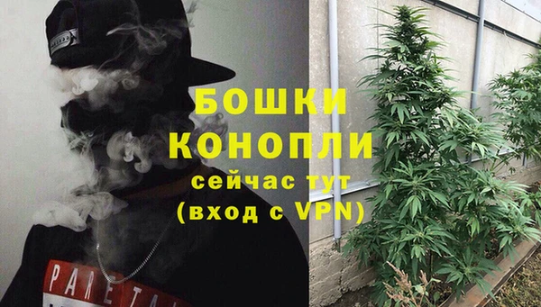 гашик Краснослободск