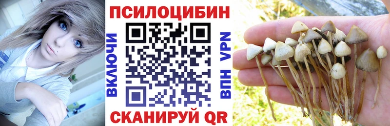 Псилоцибиновые грибы MAGIC MUSHROOMS  Шенкурск 